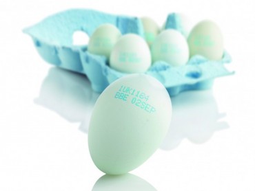 Novi pravilnik o kvalitetu jaja - obavezno obeležavanje direktnom štampom na ljusci
