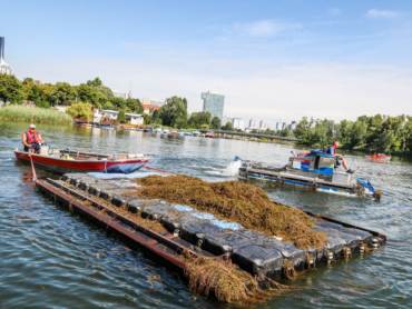Beč koristi travu iz Dunava za kompost