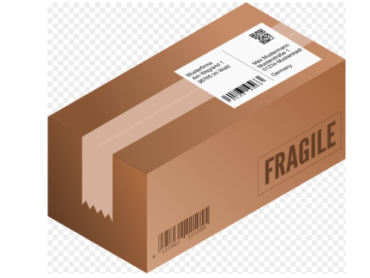 Moguća izgradnja logističkog centra Alibabe u Nišu