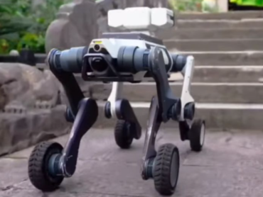 Pas robot patrolira kineskim gradom