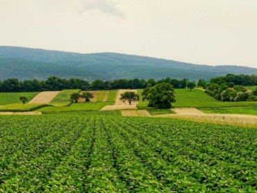 Brisel omogućava širu upotrebu alternativnih đubriva sa nižim ugljeničnim otiskom