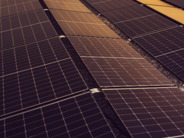 Hemofarm pustio u rad solarnu elektranu postavljenu na krovu proizvodnog kompleksa u Vršcu