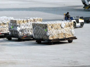 Uskoro se očekuje uspostavljanje dve avio-kargo linije iz kineske provincije Hebej ka Nišu