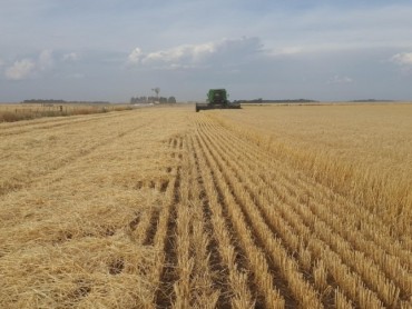 Italija drugi najveći dobavljač Srbije u agroindustriji